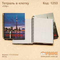 Тетрадь в клетку City