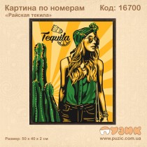 Картины по номерам "Райская текила"