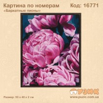 Картина по номерам "Оксамитові півонії"
