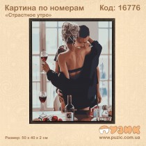 Картина по номерам «Страстное утро»