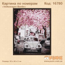 Картина по номерам «Volkswagen Beetle»