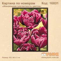 Картина по номерам "Изысканная элегантность" 50х40 см