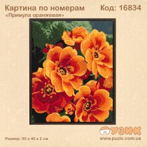 Картина по номерам "Примула оранжевая" 50х40 см