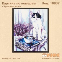 Картина по номерам "Чудесное утро" 50х40 см