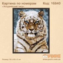 Картина по номерам "Уссурийский тигр" 50х40 см
