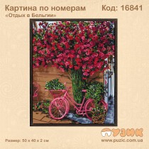 Картина по номерам "Отдых в Бельгии" 50х40 см