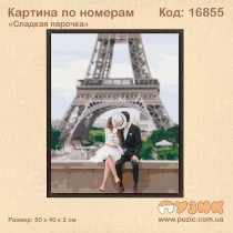 Картина по номерам "Сладкая парочка" 50х40 см