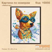 Картина по номерам "Авиатор" 50х40 см