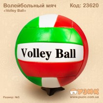 Волейбольний м'яч "Volley Ball"