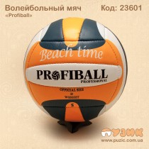 Волейбольний м'яч