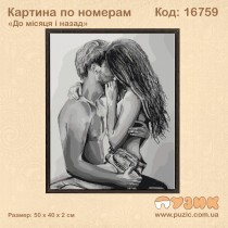 Картина по номерам "До місяця і назад"