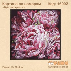 Картины по номерам "Буйство красок"