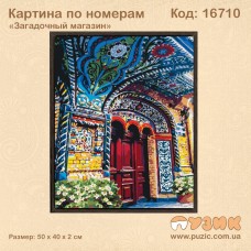 Картина по номерам "Загадочный магазин"