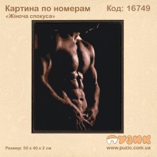 Картина по номерам "Жіноча спокуса"