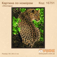 Картина по номерам "Леопард"