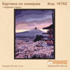Картина по номерам "Чарівна пара"