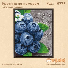 Картина по номерам «Сочные плоды»