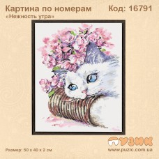 Картина по номерам "Нежность утра"