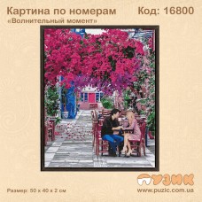 Картина по номерам "Волнительный момент" 50х40см