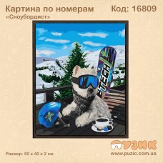 Картина по номерам "Сноубордист" 50х40 см