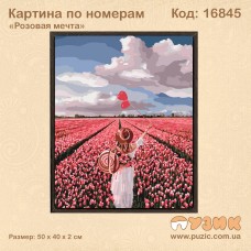Картина по номерам "Розовая мечта" 50х40 см