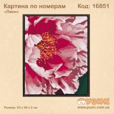 Картина по номерам "Пион" 50х40 см