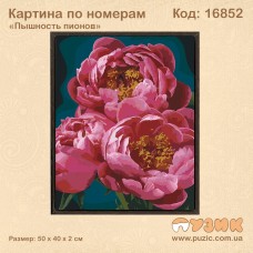 Картина по номерам "Пышность пионов"