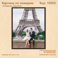 Картина по номерам "Сладкая парочка" 50х40 см