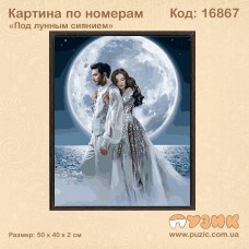 Картина по номерам "Под лунным сиянием" 50х40 см