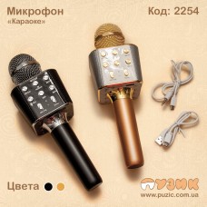 Микрофон "Wster"