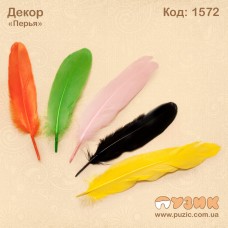 Пір'я для декору