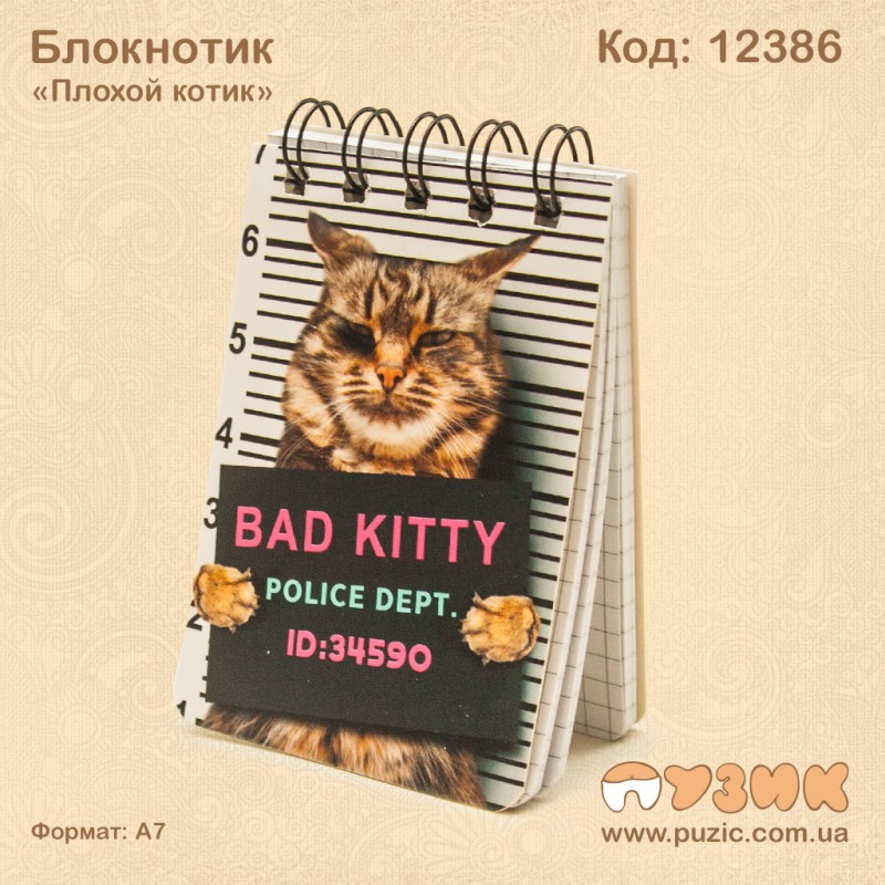 Блокнотик "Клохой котик" на спирали