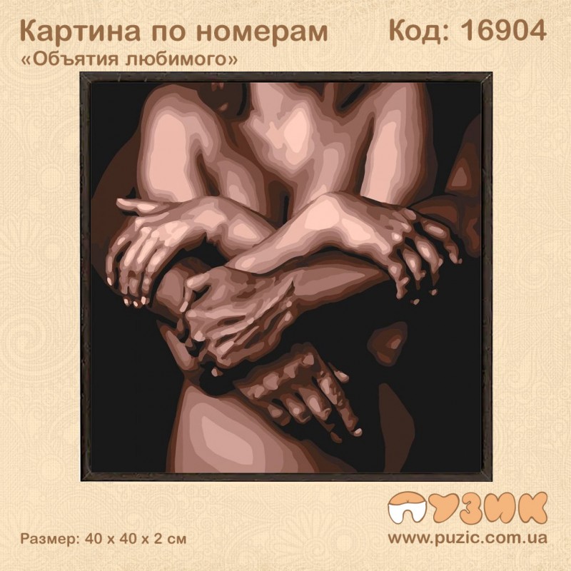Картина по номерам "Обійми коханого"