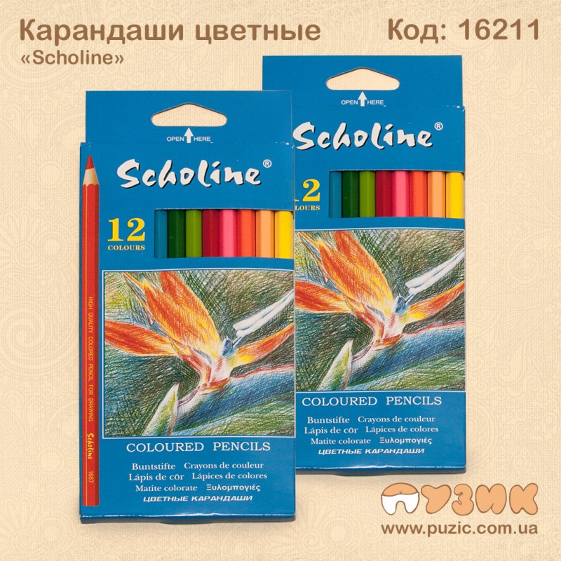 Кольорові олівці "Scholine" 12кол.