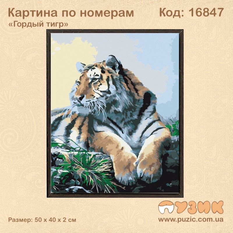 Картина по номерам "Гордый тигр" 50х40 см