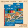 Кольорові олівці "Scholine" 12кол.