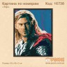 Картина по номерам "Тор"