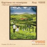 Картина по номерам "Прогулка с любимым" 50х40 см