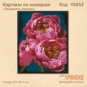 Картина по номерам "Пышность пионов"